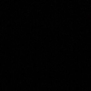 Meet your Posher, Ty